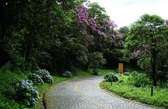 Estrada da Graciosa