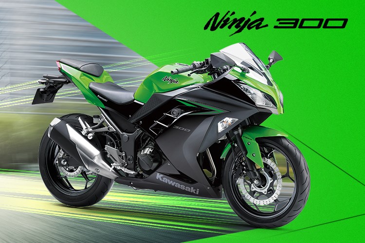 Ninja 300